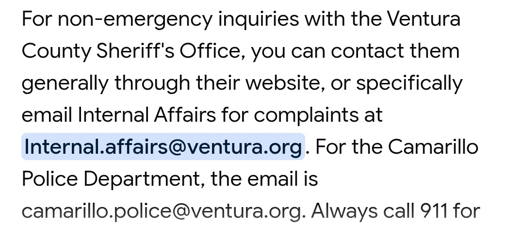 Liz 🍪 tweet media