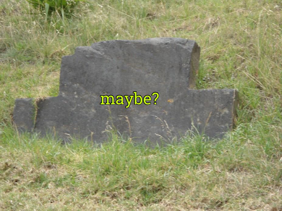 𝐓𝐡𝐞 𝐏𝐥𝐚𝐬𝐭𝐨𝐥𝐢𝐭𝐡𝐢𝐜 𝐏𝐚𝐬𝐭 tweet media