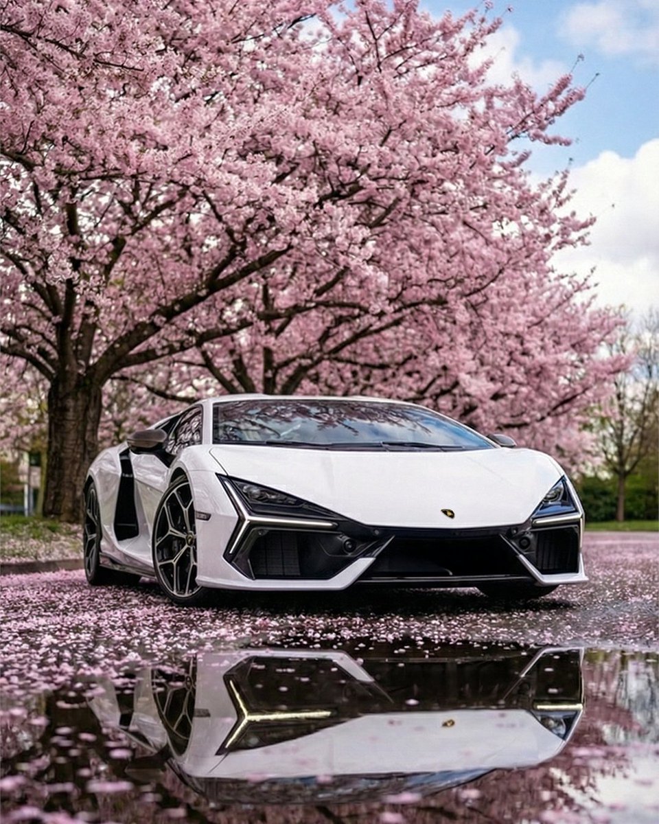 Lamborghini tweet media