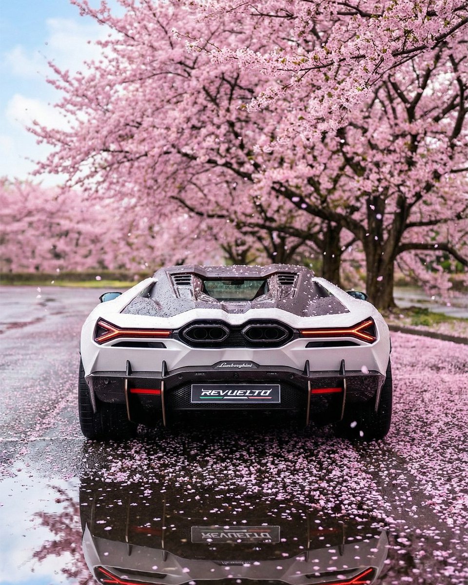 Lamborghini tweet media