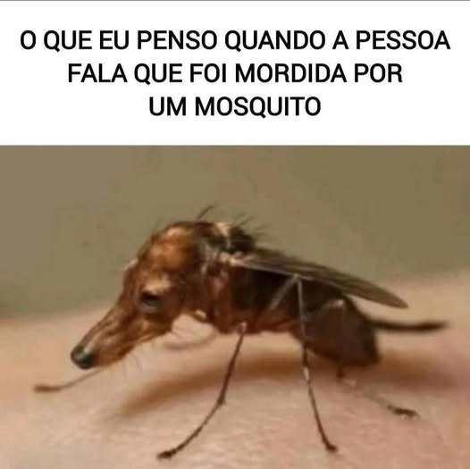 @pontinisandra McCartney tweet media