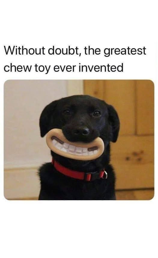 Papa Woof und Krampus und Bleaken tweet media