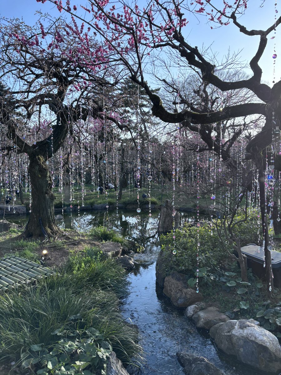 @lu_venturine tweet media