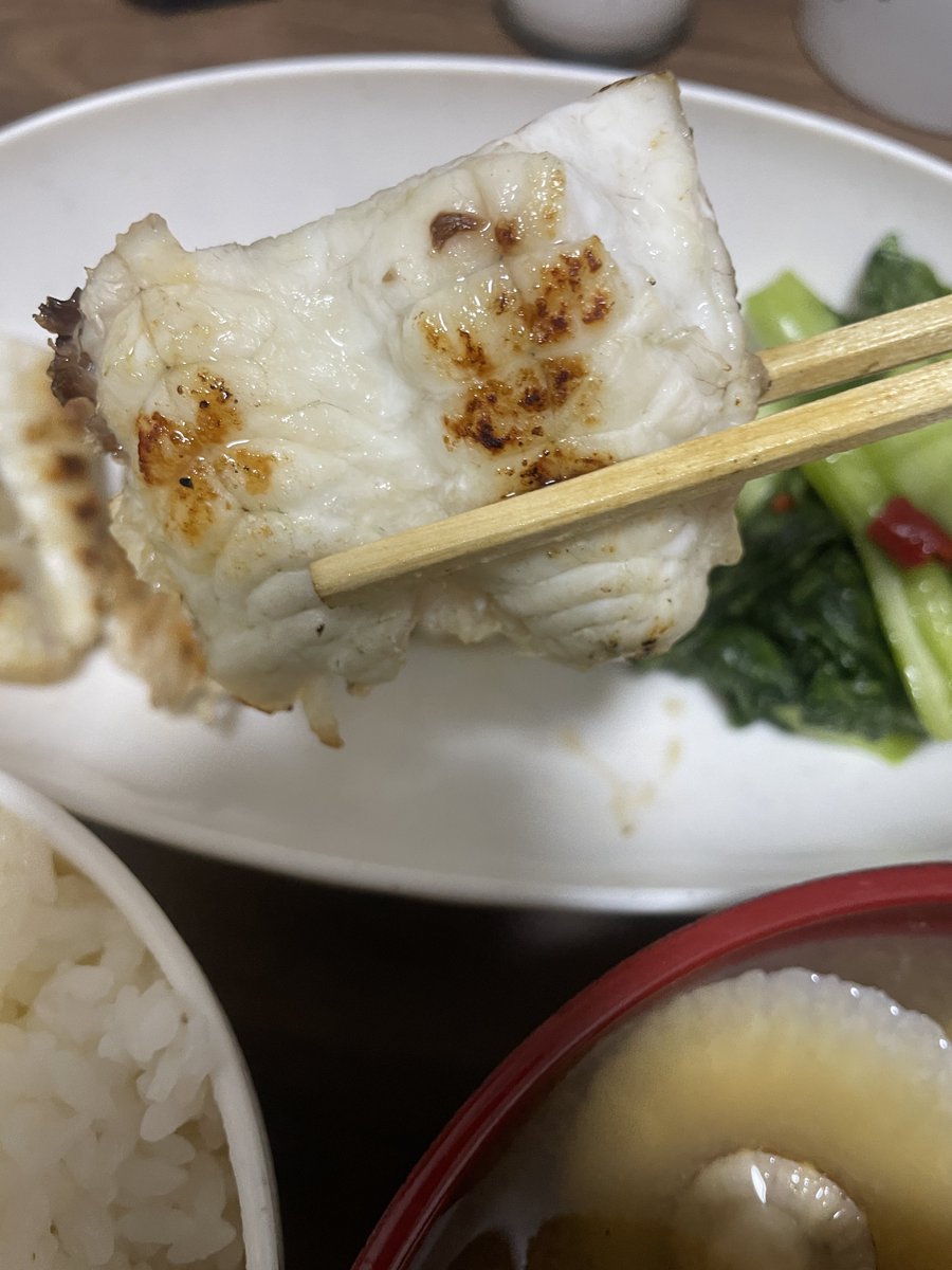 おみつ キャンプ🏕 tweet media