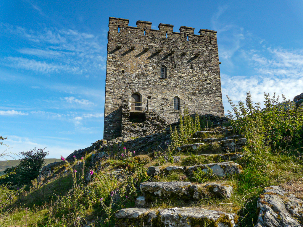 Pamela Jones tweet media