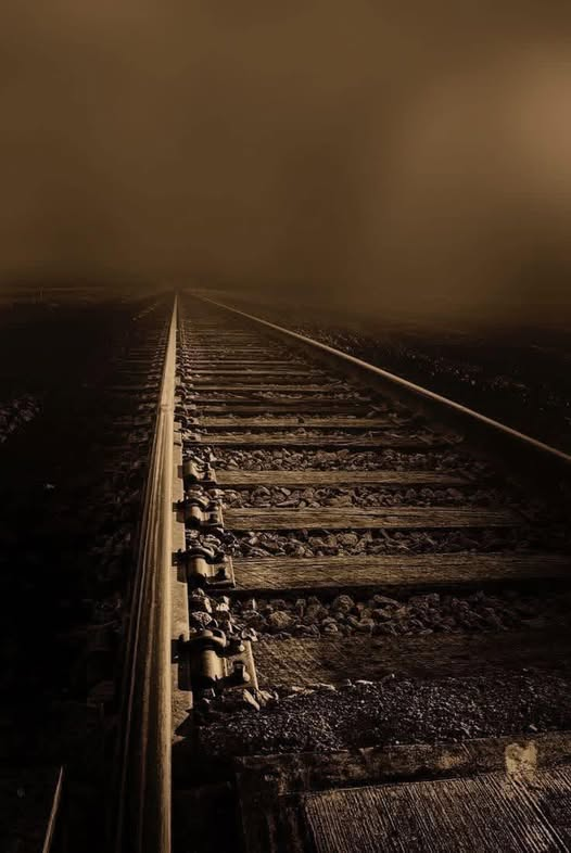 تم چلے جانا
بس مجھے اس بات کا یقین نہ آنے دینا
کہ تم چلے گئے
میں پھر سے اکیلا نہیں ہونا چاہتی