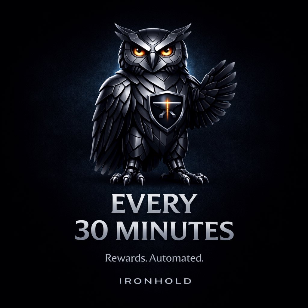 IRONHOLD tweet media