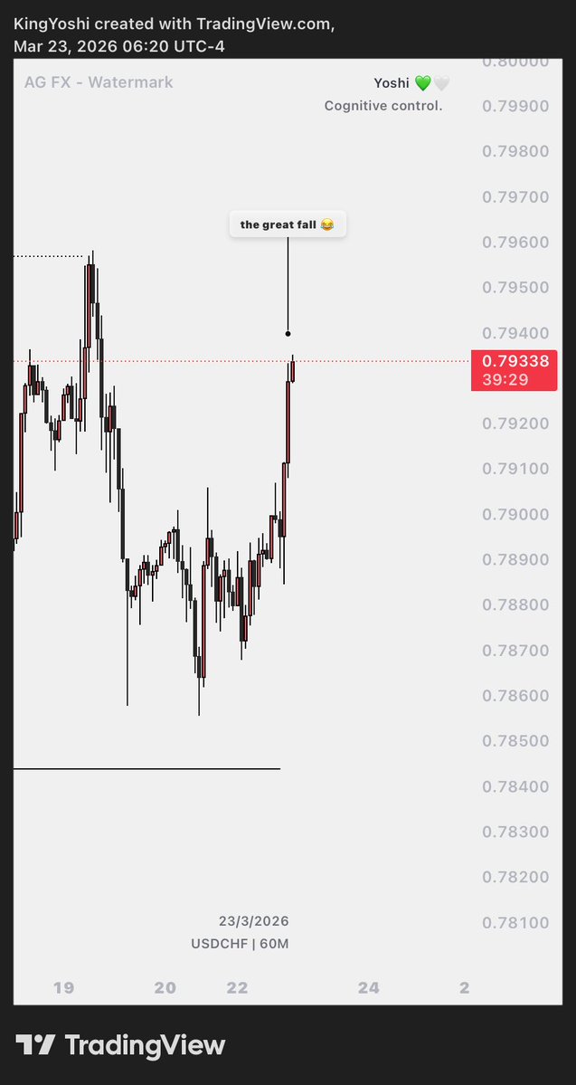 KINGYOSHI 👑 ✦ tweet media