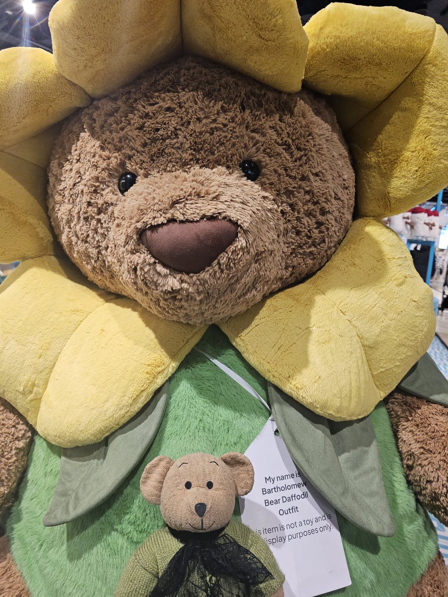 Tabitha Teddy ʕ•ᴥ•ʔ tweet media