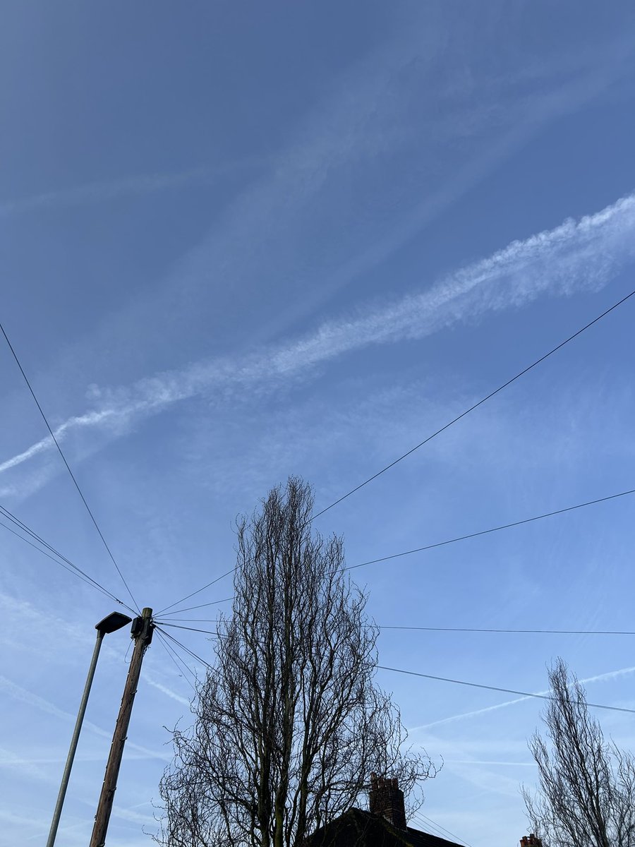 Sharon Foster 🐝 tweet media