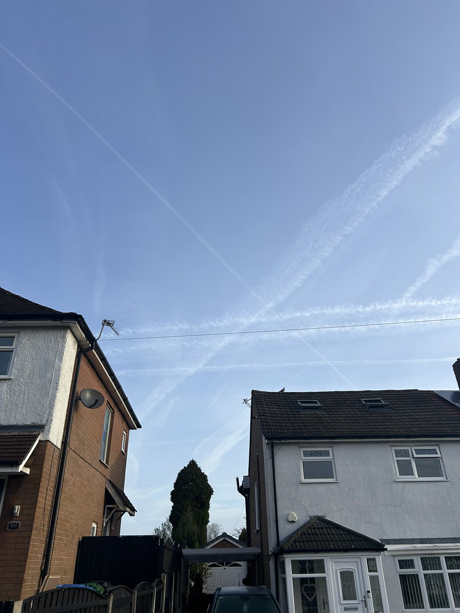 Sharon Foster 🐝 tweet media