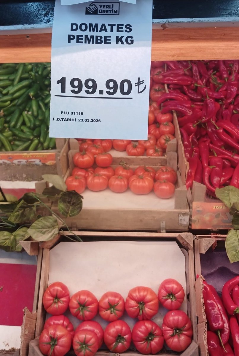 Yavuz DEĞİRMENCİ tweet media