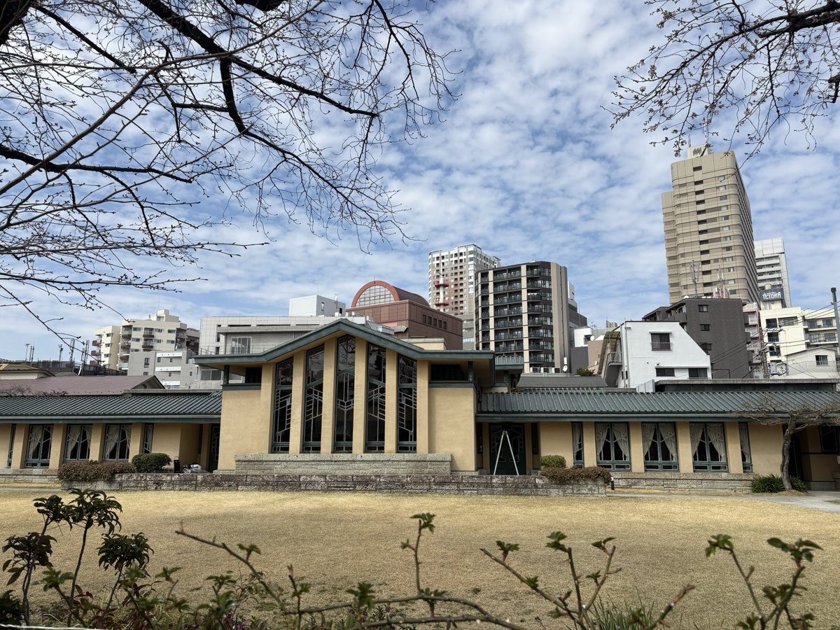 寝猫（ねねこ）sleeping cat tweet media