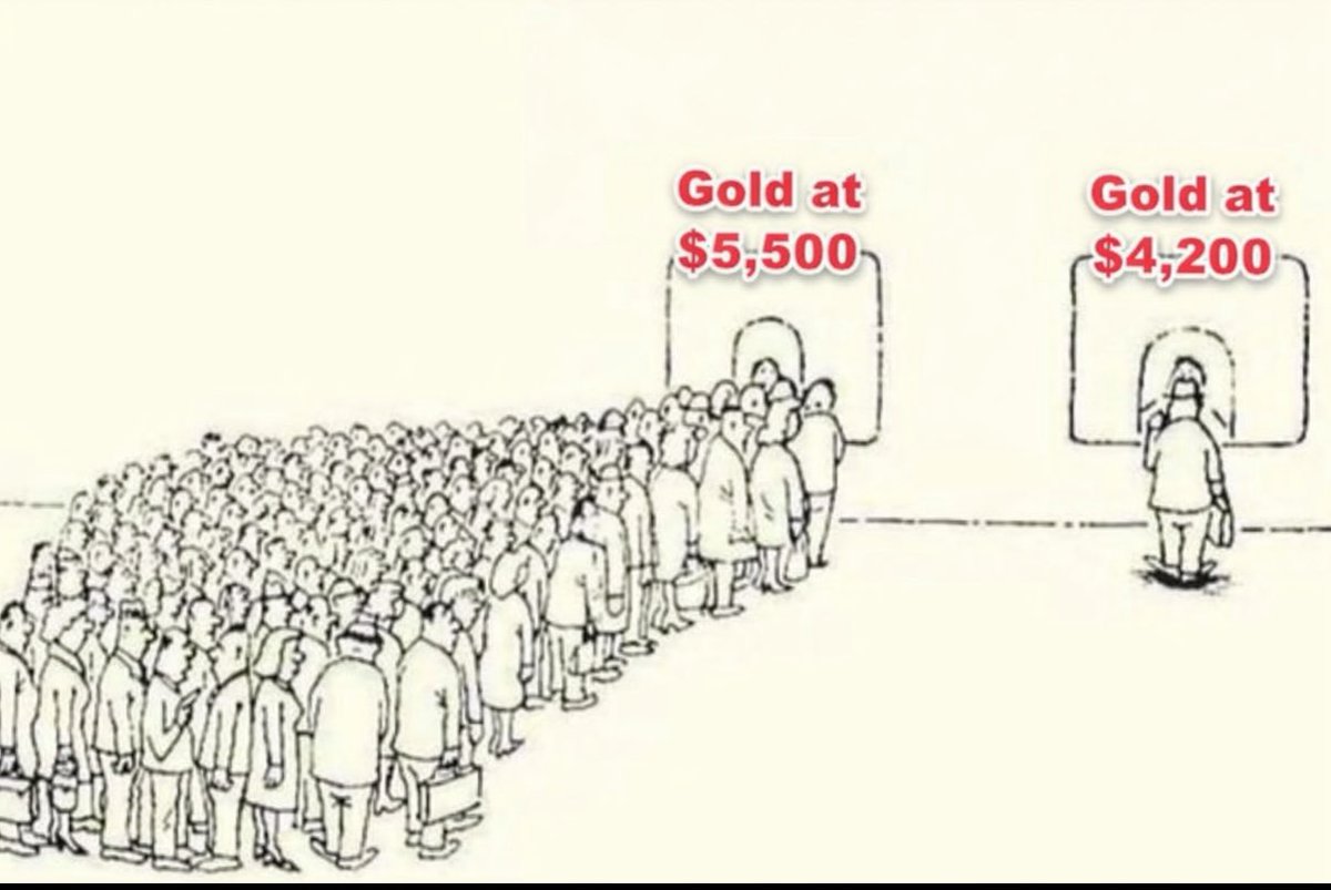 Otavio (Tavi) Costa tweet media