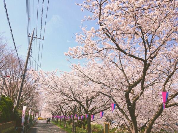 コスプレイベントCOSSAN tweet media