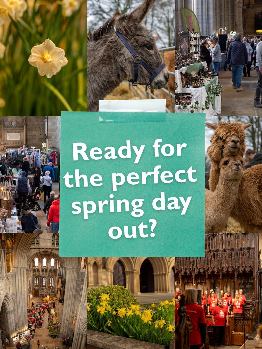 Ripon Cathedral tweet media