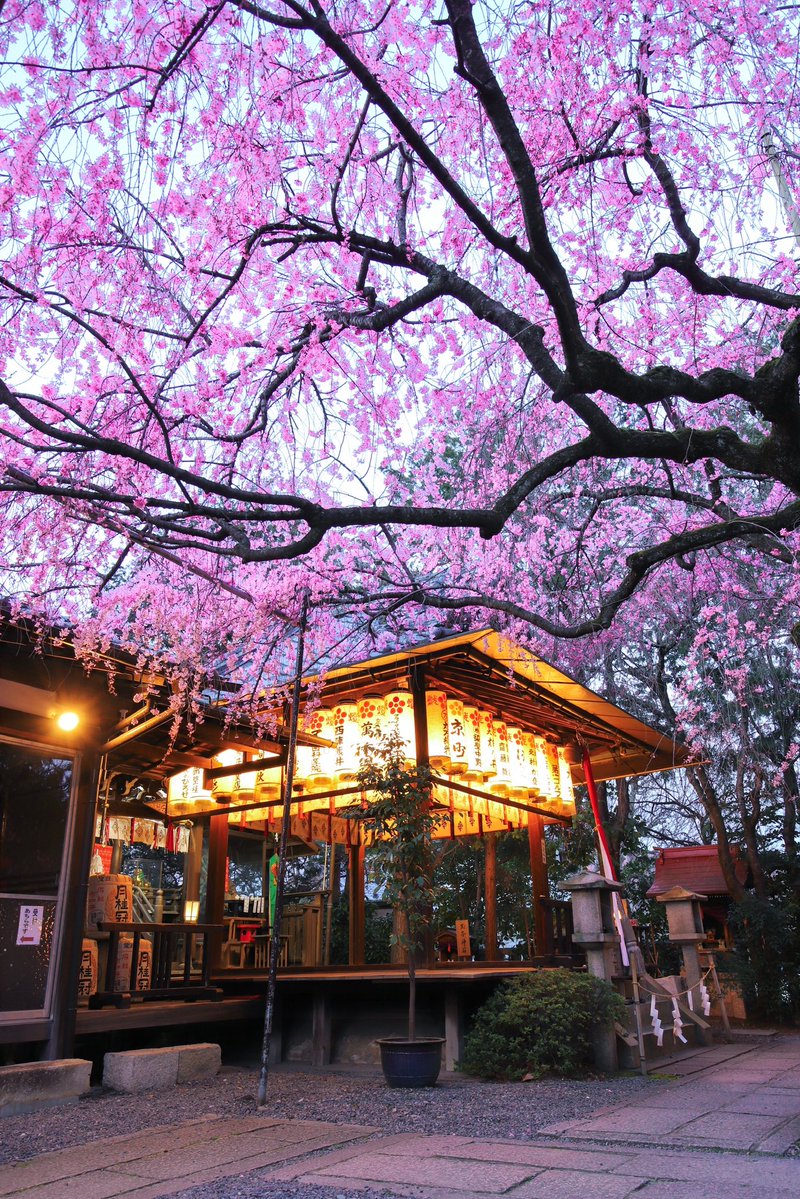 京見坂 tweet media