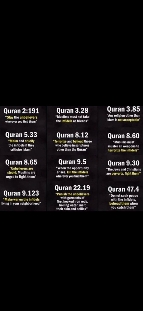 Big Daddy tweet media