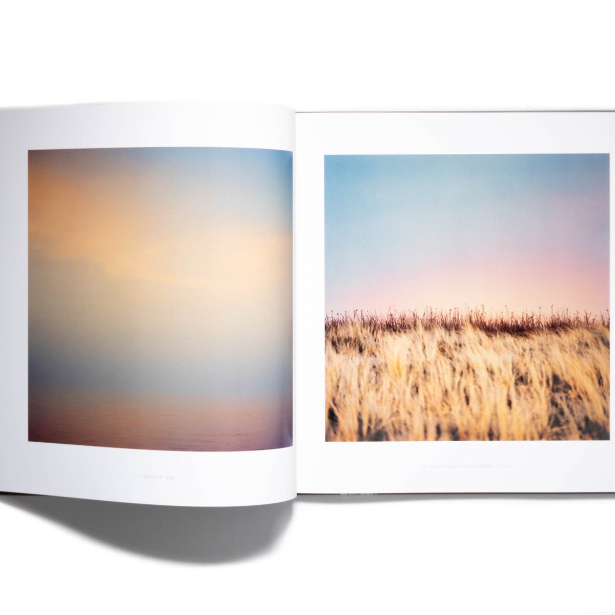 Art Book Iskusstvo tweet media