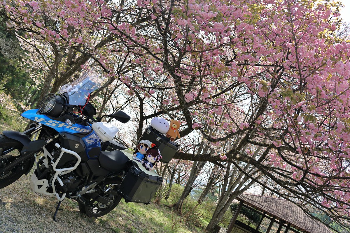 ぬいの執事バーゴン🐻💿⚒️💎 tweet media