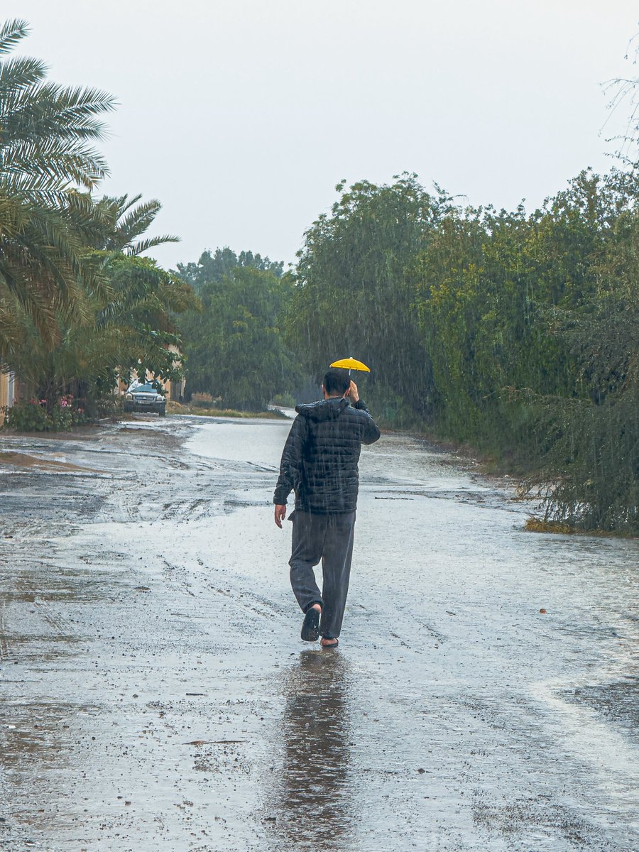 إبراهيم يوسف tweet media