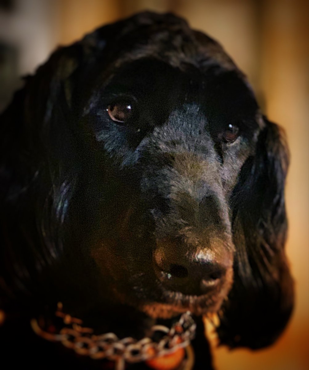 Dockside Billy tweet media