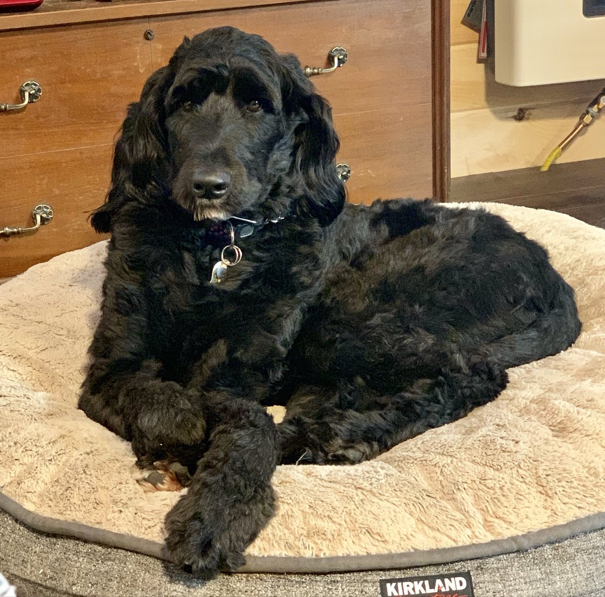 Dockside Billy tweet media