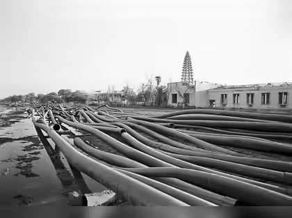 Reflect ريفليكت tweet media