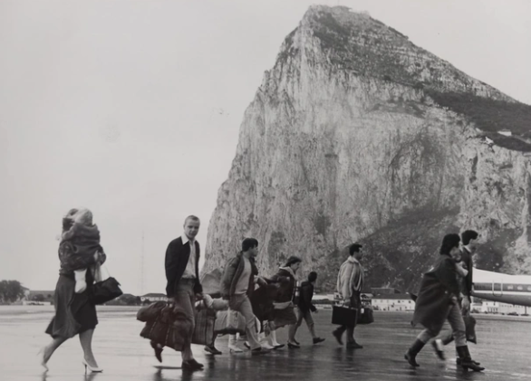 RoyalAnglianRegt-Museum tweet media