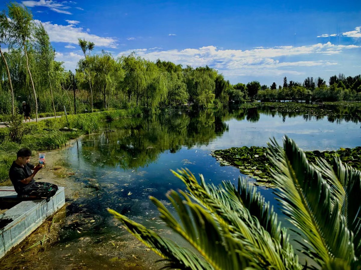 Rashaad Williams tweet media