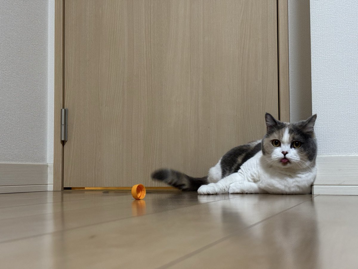 uuu-suke tweet media