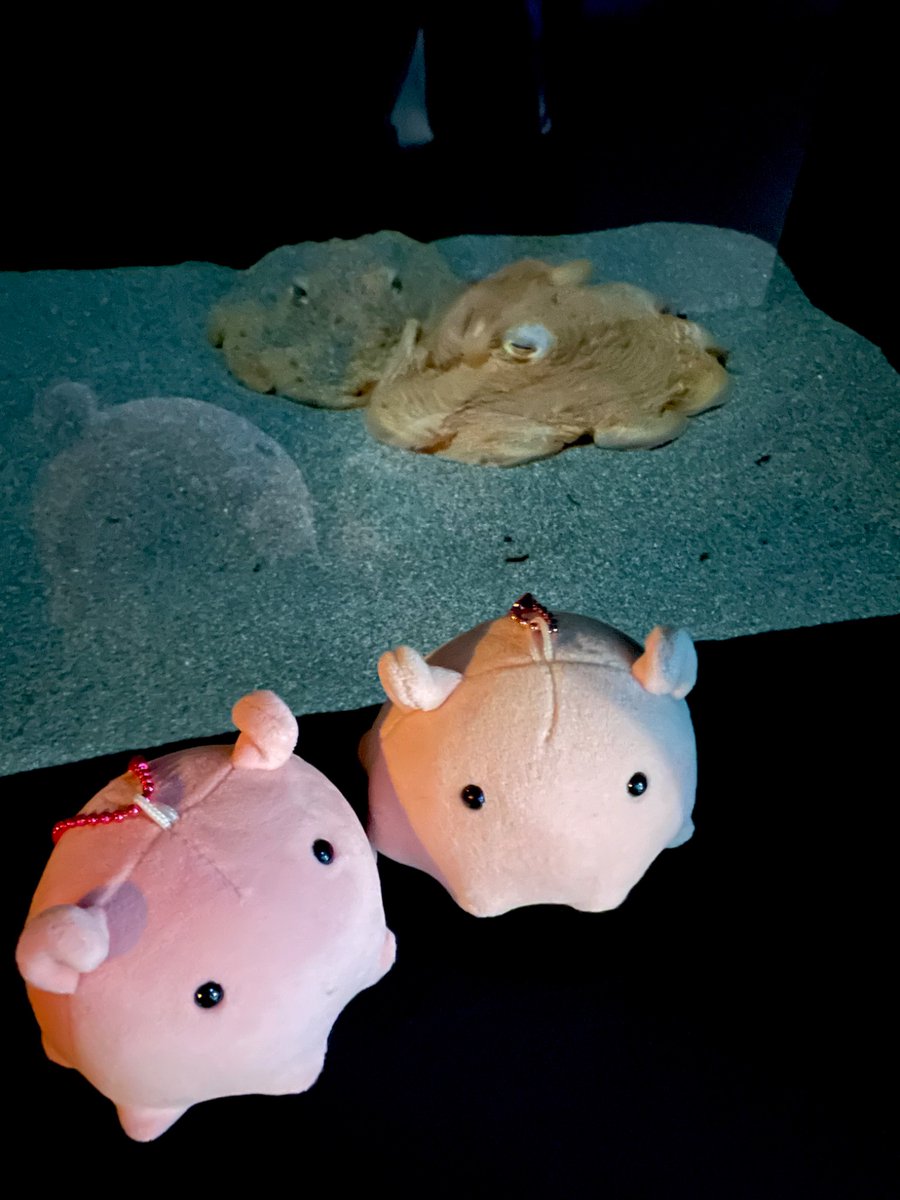 ume@さうるす🦕めんだこ🐙医療ざっかふぇす4/12、5/23.24デザフェス両日 tweet media