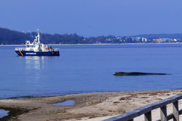 HL-live.de tweet media