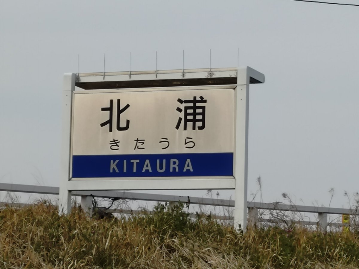 ショーツ好太郎 tweet media