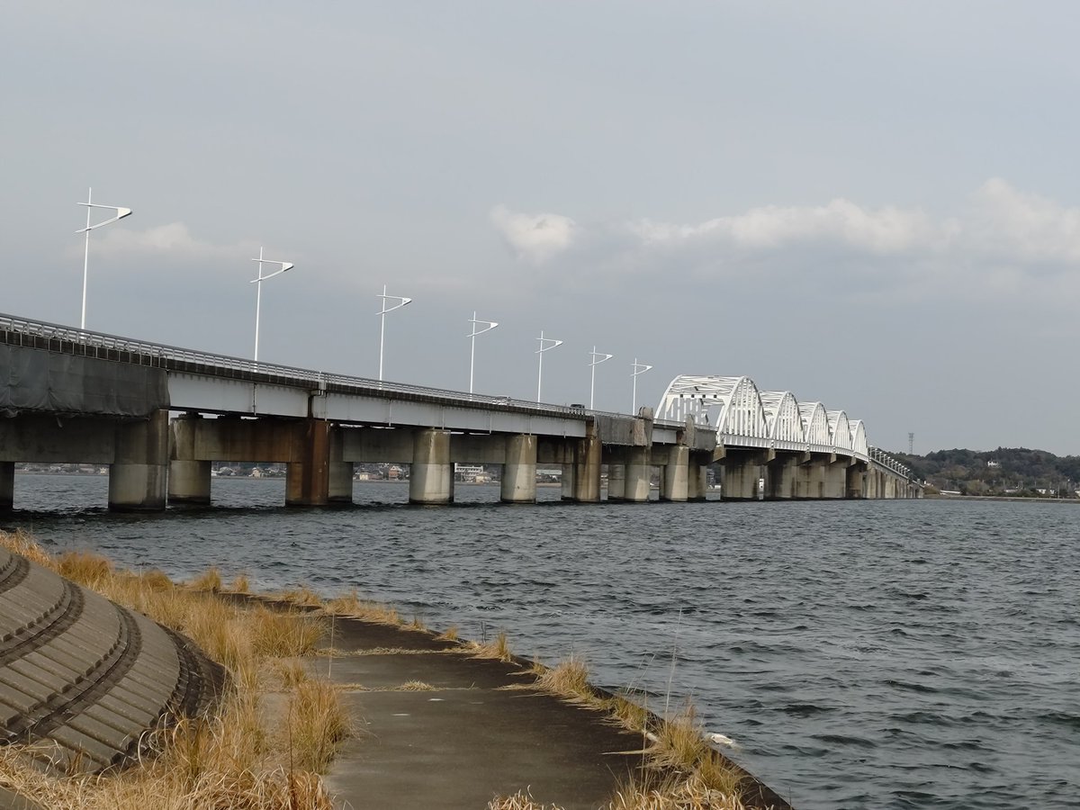 ショーツ好太郎 tweet media