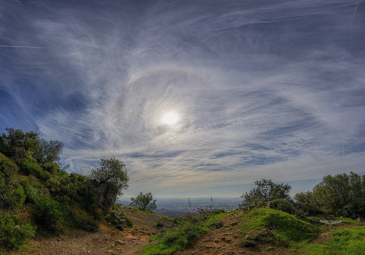 Pedro Mengual tweet media