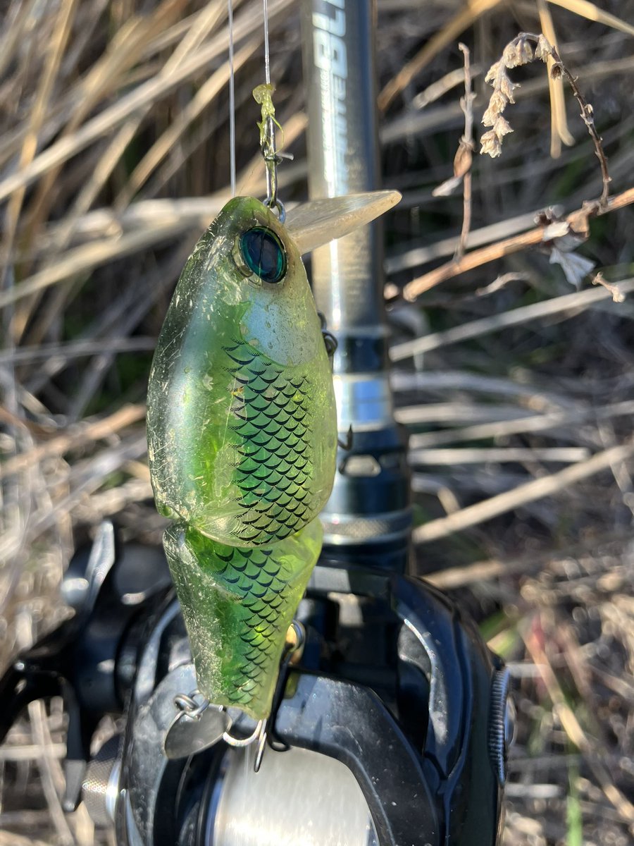 Verde0603's tweet photo. インガスンガスン….。

Funa bait Honey 

#ゲーリーヤマモト 
#ヤバイブランド https://t.co/Wra4maUzYt