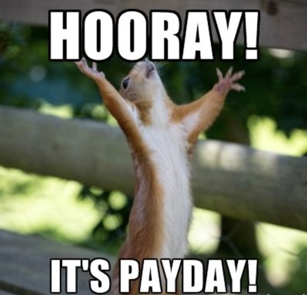 Truffle Social tweet media