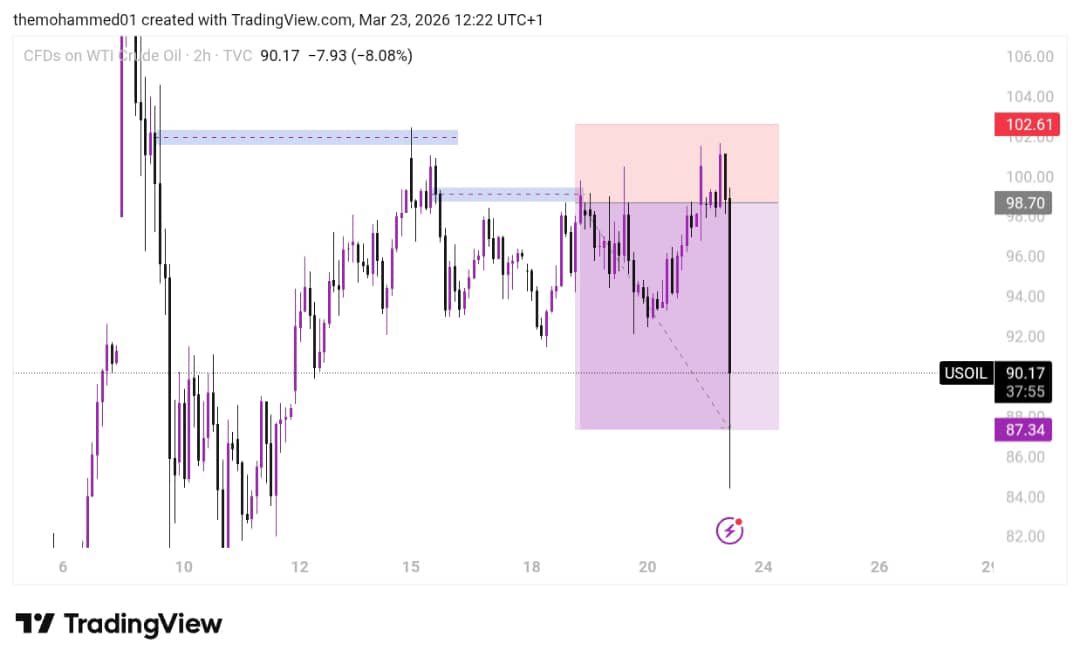 THAT LOGAN GUY tweet media