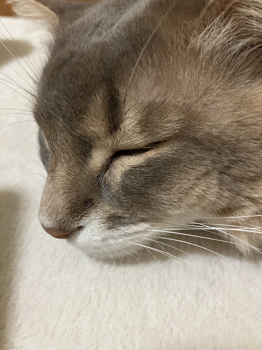 石油王 tweet media