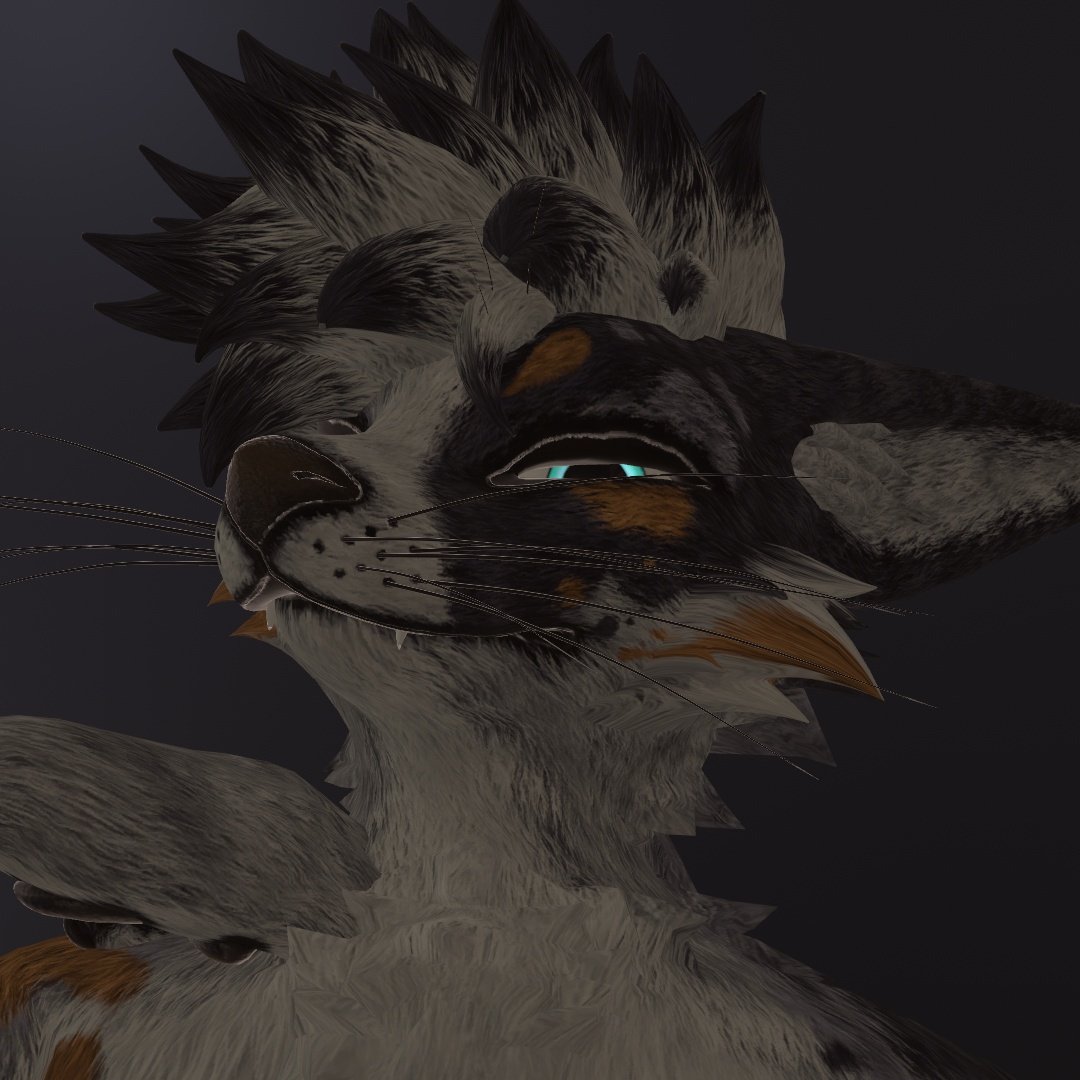 Dylan 1 🔜Confuzzled tweet media