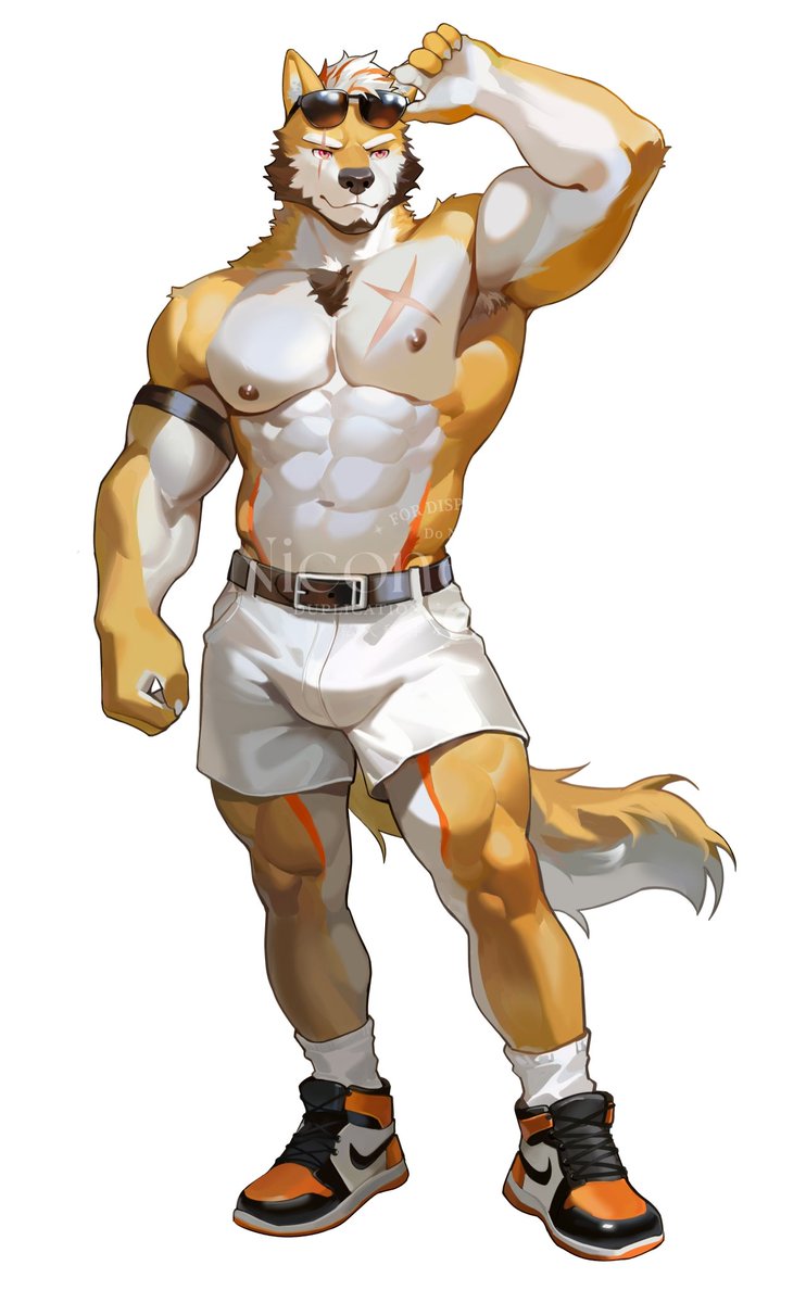 Niconer wolf tweet media