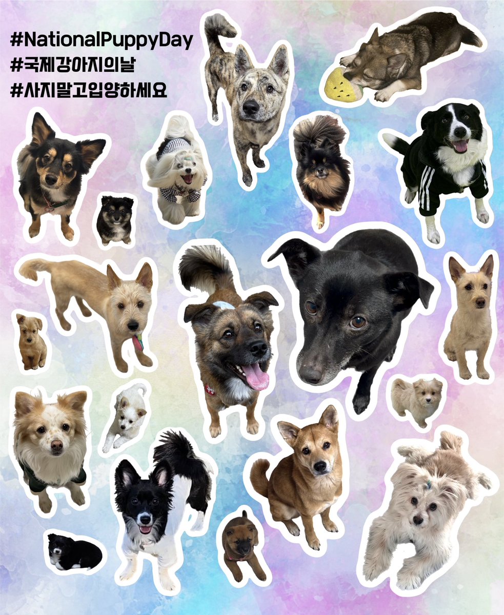 감수🥔 tweet media