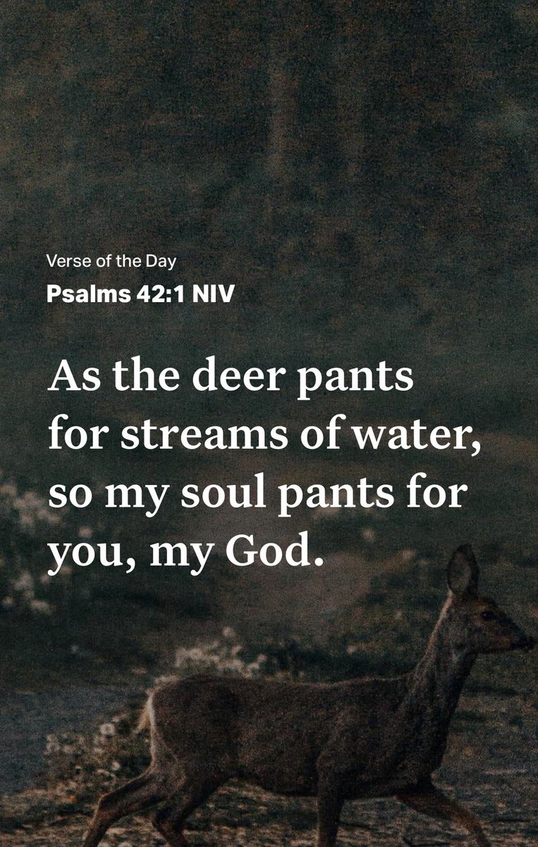 💯StrengthsMind💯 tweet media