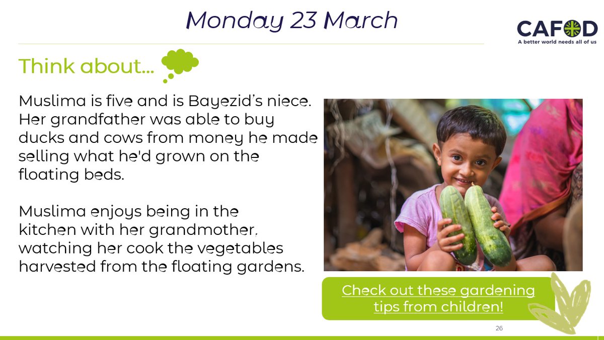 CAFOD Schools tweet media