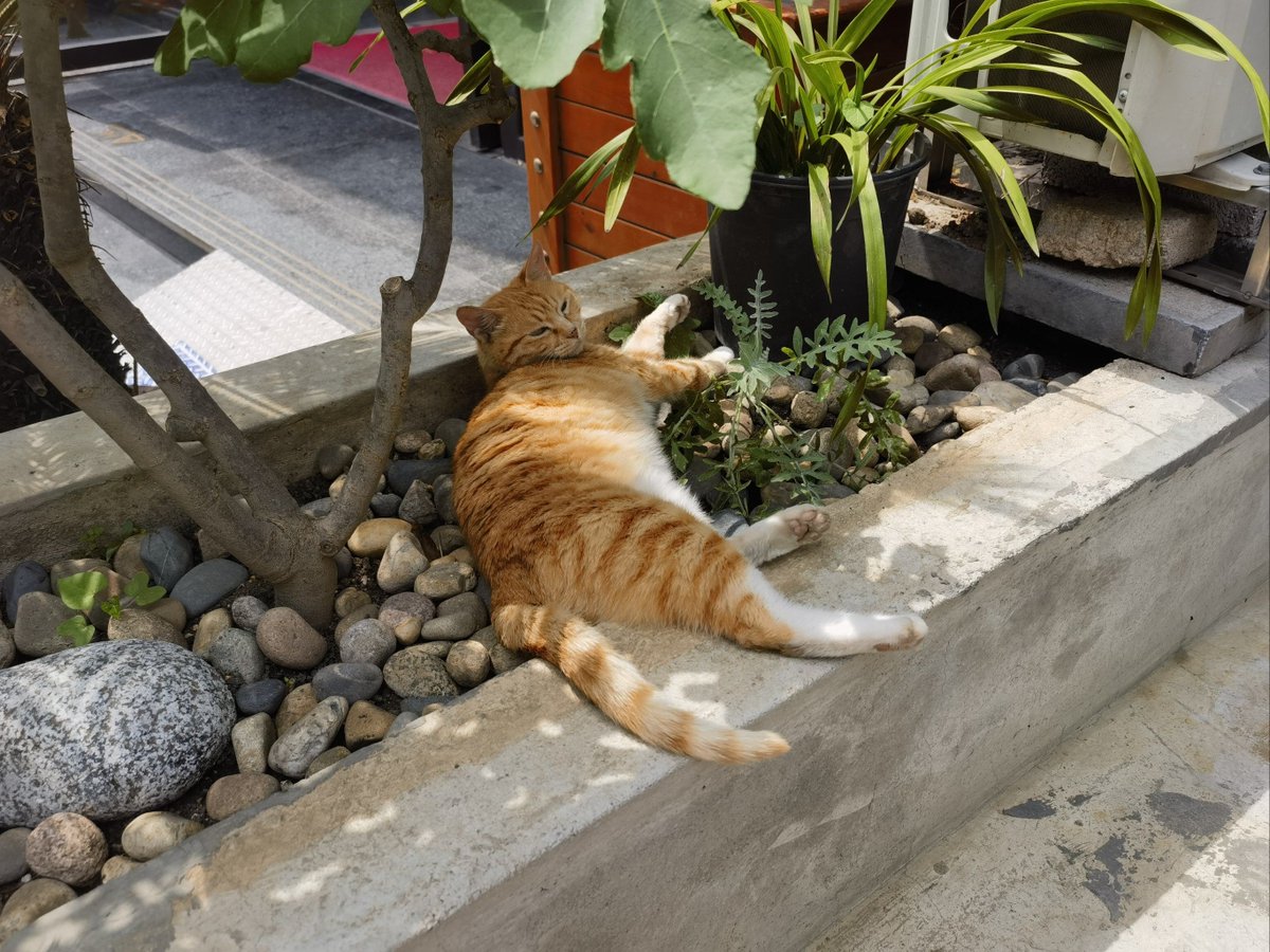 Delphine Steede tweet media