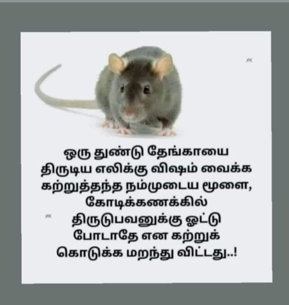 SowdhaMani7's tweet photo. மக்களே...
சிந்தியுங்கள். https://t.co/kA9m4klUfW