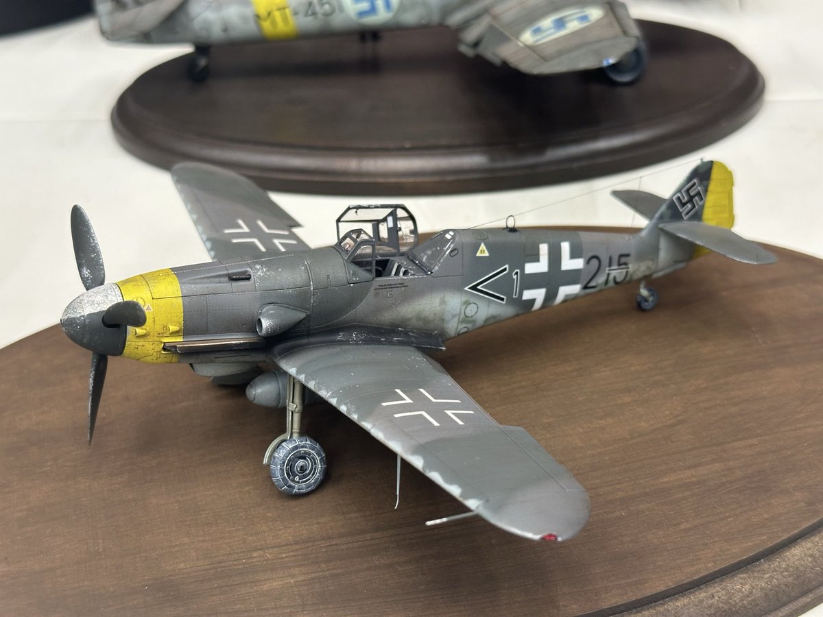 FriedenModels tweet media