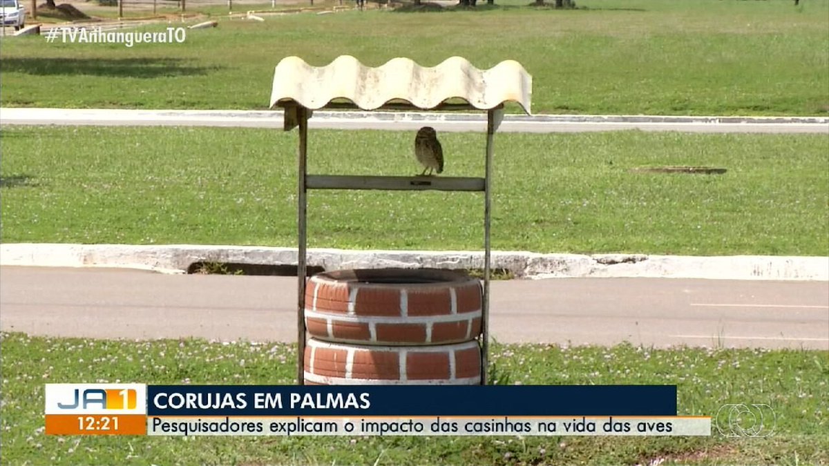 Tilda2025 tweet media