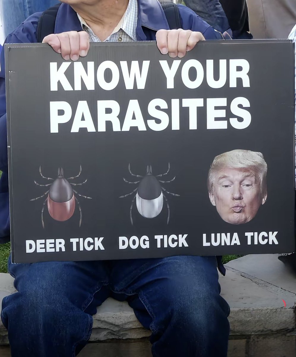 TheFrenchie tweet media